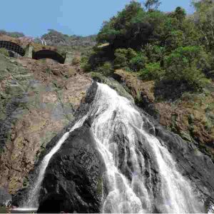 Dudhsagar-falls-Nasik-300x300