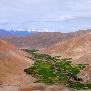 08ladakh1