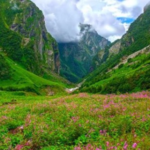 1538969497_Valley of Flowers