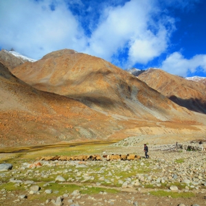 Nubra-Valley-Trek-Thumbnail