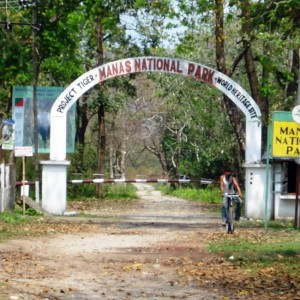 a-picture-of-manas-national-park-in-assam-201709-1504696519-300x300