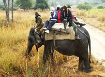 corbett-wildlife-tour-570