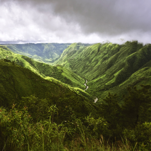 feat_exp_149813220233_Cherrapunjee,_Meghalaya_300x300