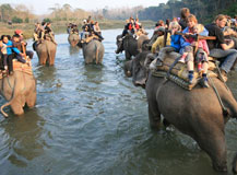 india-and-nepal-wildlife-safari-531