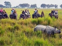 short-escape-kaziranga-760