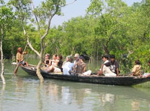 sunderbans-jungle-camp-232