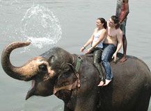 wildlife-tour-india-nepal-537